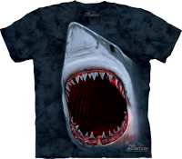 Shark Bite available now at Novelty EveryWear!
